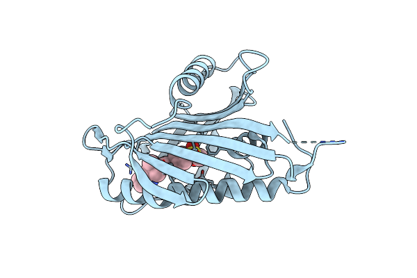 5ZYH image
