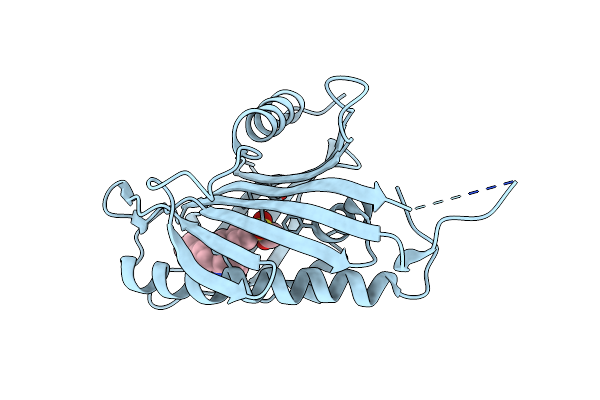 5ZYK image