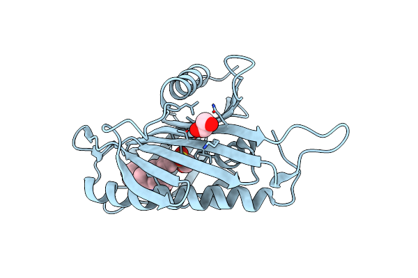 5ZYM image
