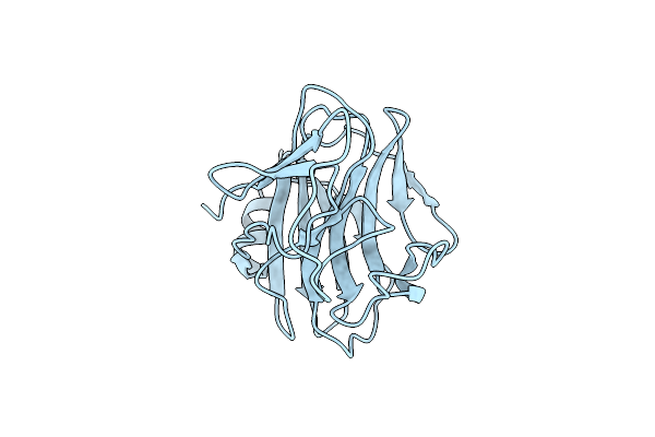 5ZZ3 image