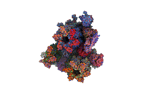 5ZZ8 image