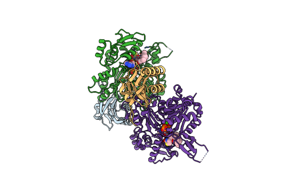 5ZZB image