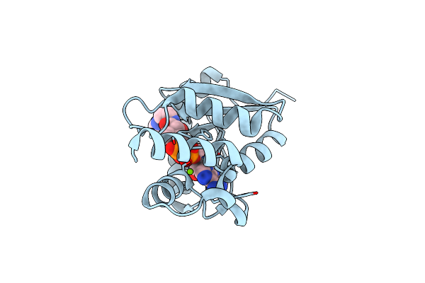 5ZZC image
