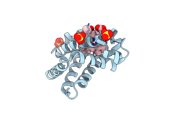 5ZZE image