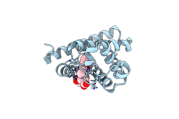 5ZZF image