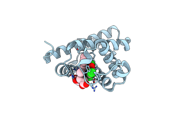 5ZZG image