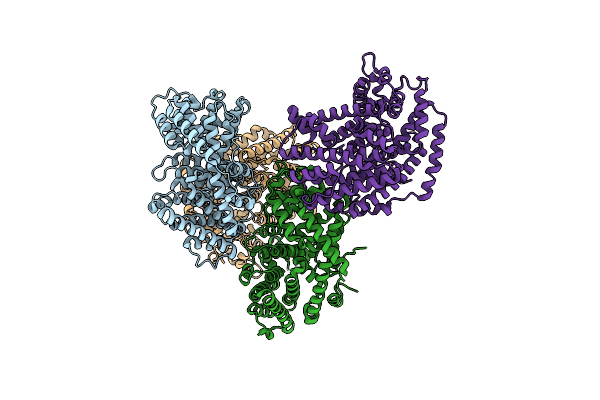 5ZZJ image