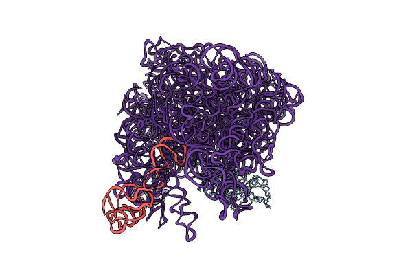5ZZM image