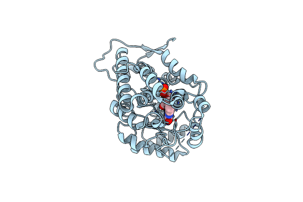 5ZZP image
