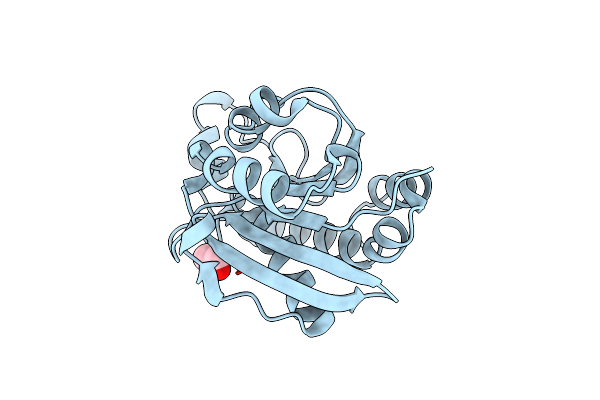 5ZZV image