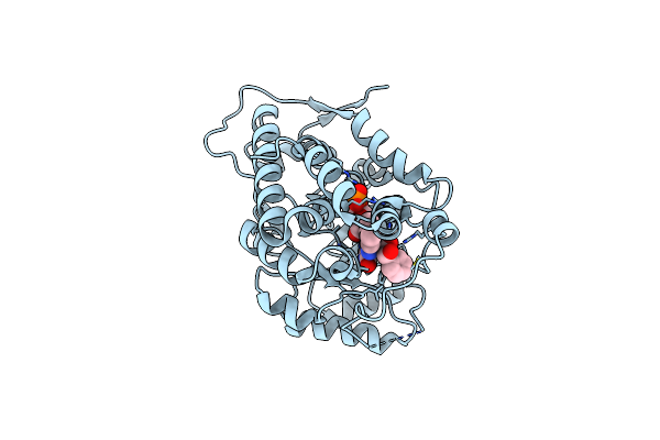 5ZZX image