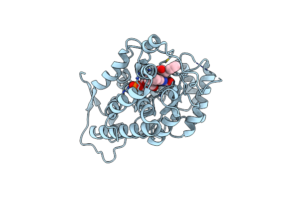6A00 image