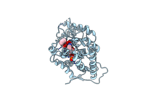 6A01 image