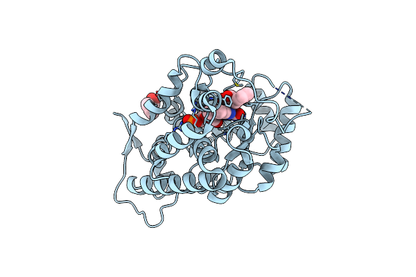 6A0G image