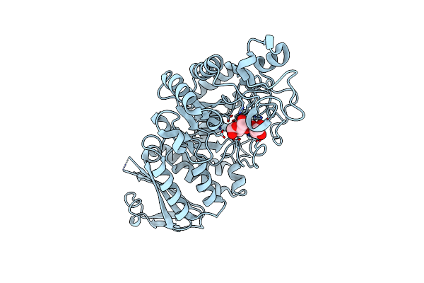 6A0L image