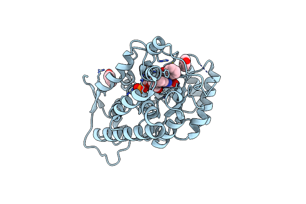 6A0O image
