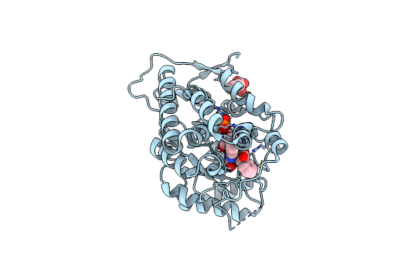 6A0V image