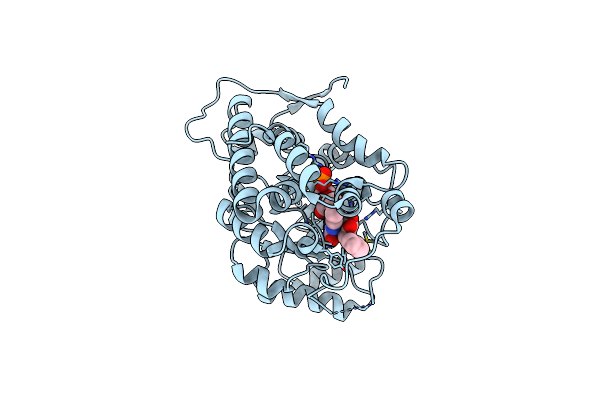 6A11 image