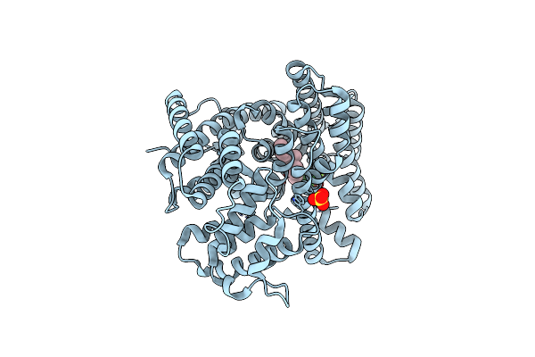 6A1D image