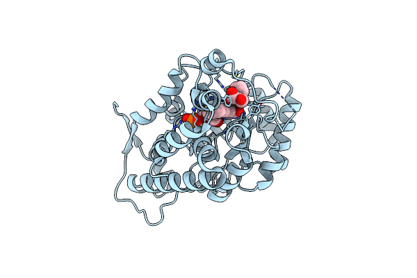 6A1P image