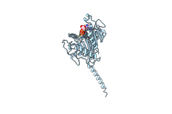 6A1Z image