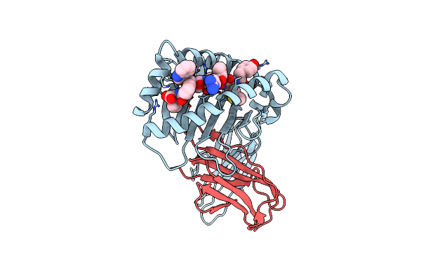 6A2B image