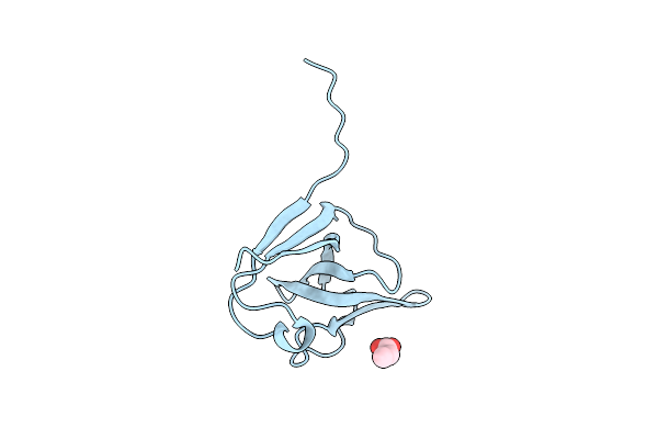 6A2T image