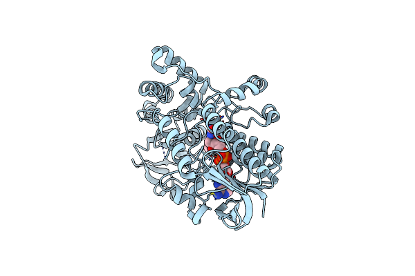 6A37 image