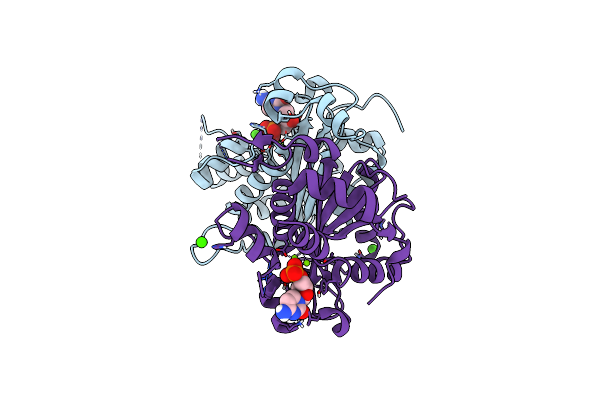 6A46 image
