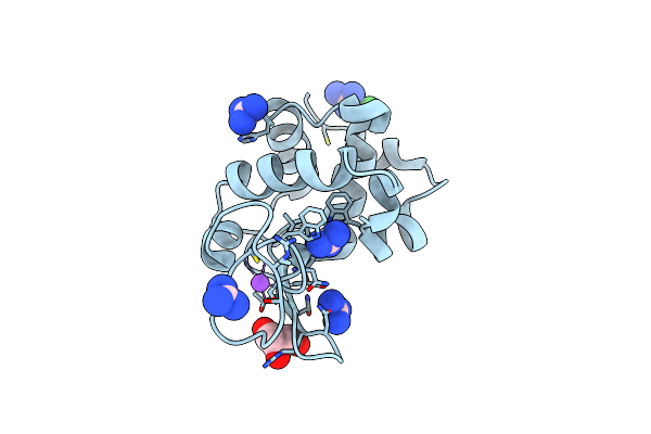 6A4N image
