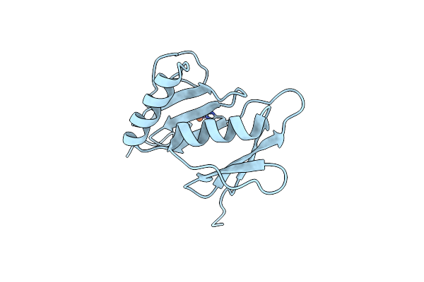 6A4X image