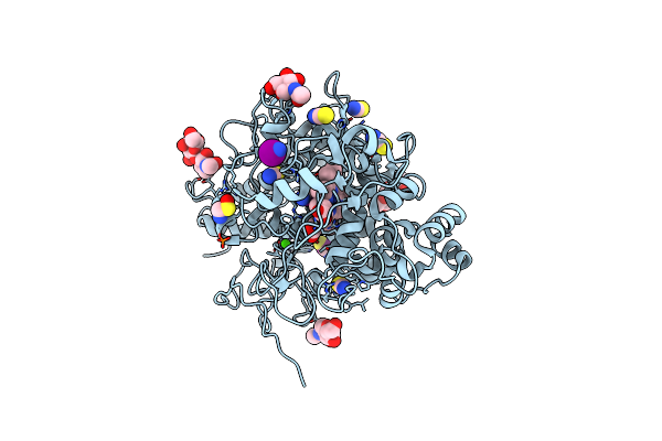 6A4Y image