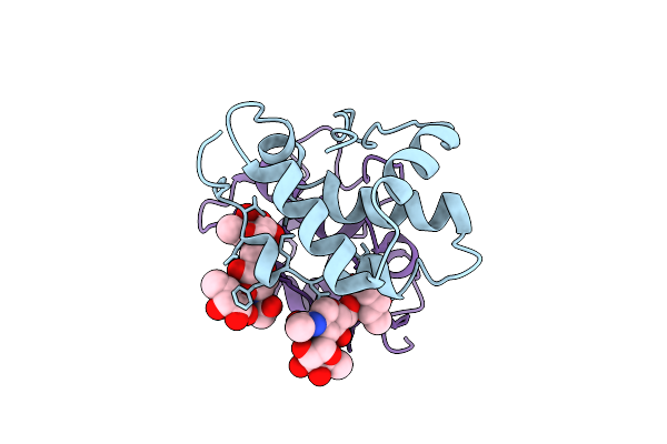 6A5D image