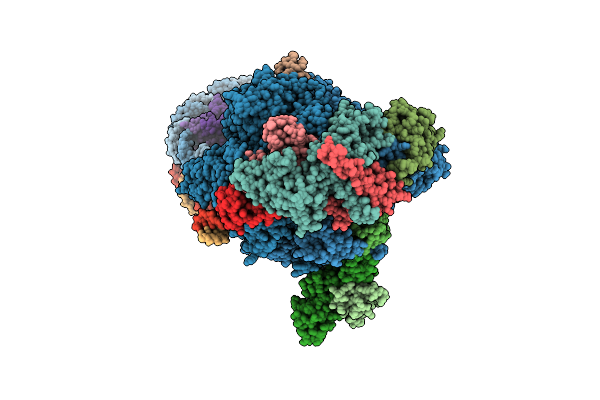 6A5L image