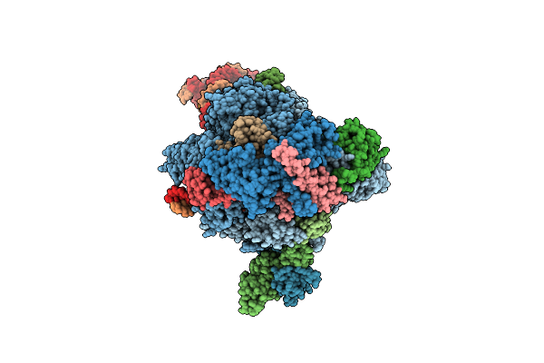 6A5P image
