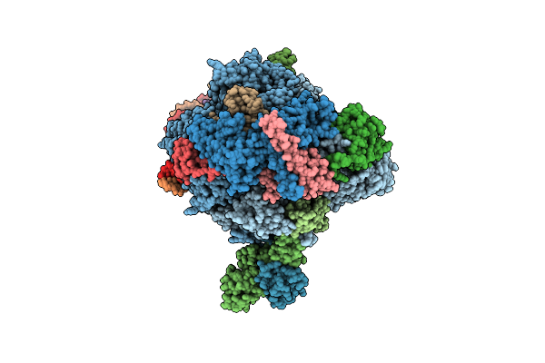 6A5R image