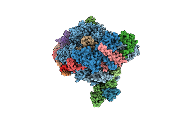 6A5T image
