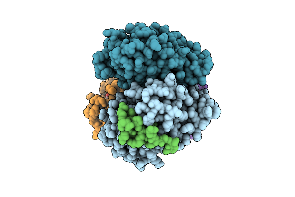 6A5Z image