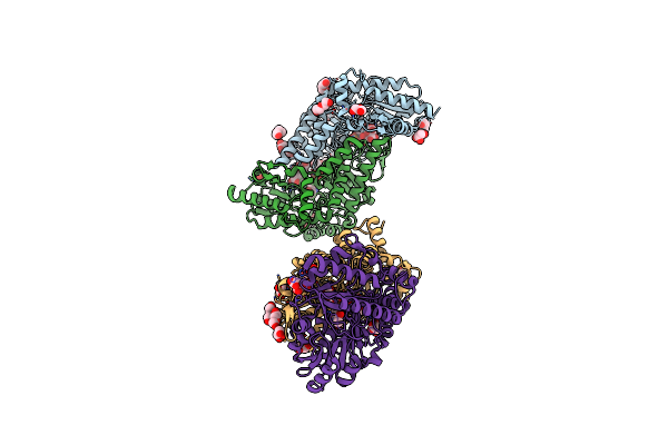 6A6E image