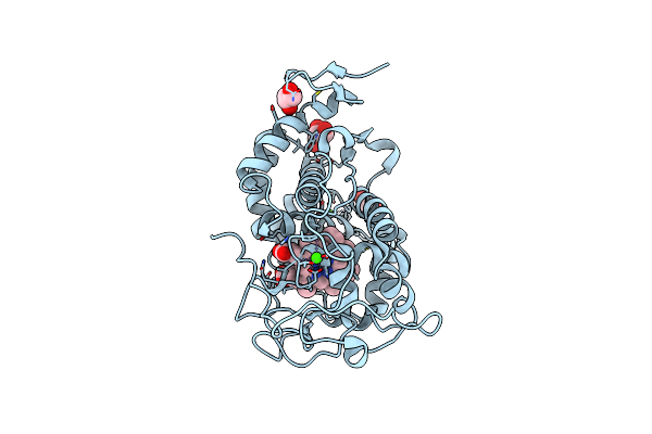 6A6Q image