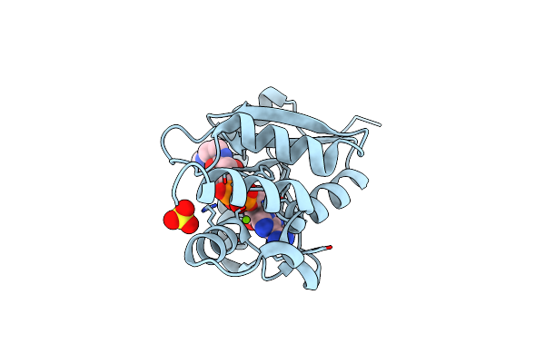 6A7D image