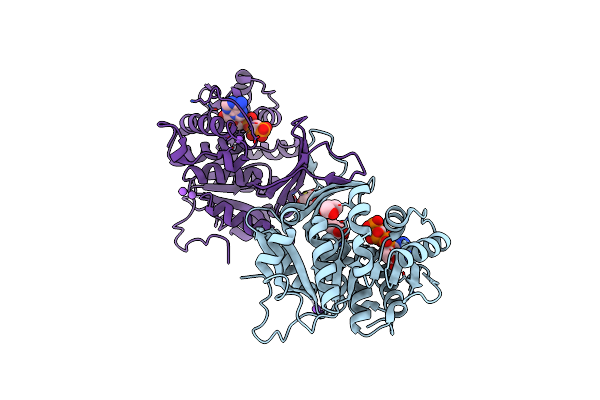 6A8B image