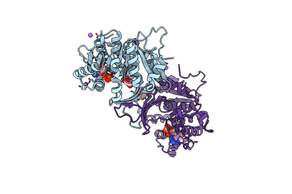 6A8C image