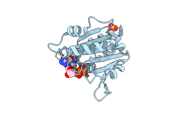 6A8D image