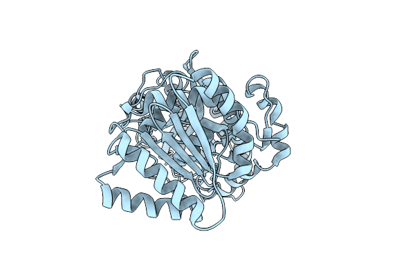 6A8M image