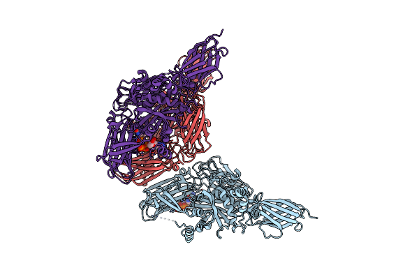 6A8P image