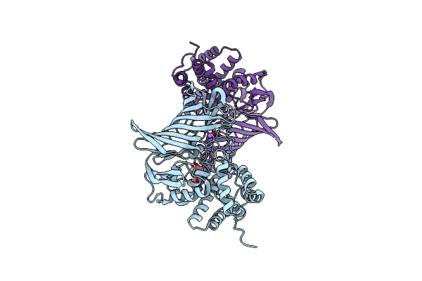 6A8Z image