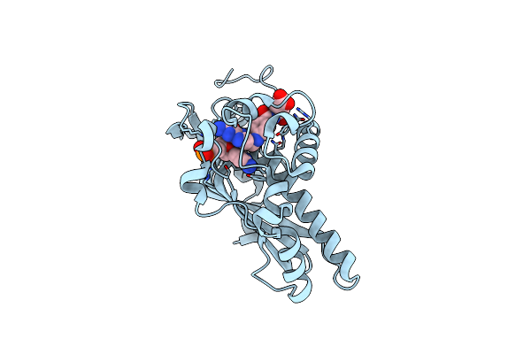 6A9A image