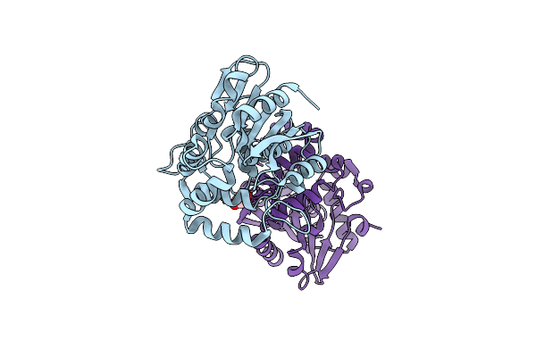 6A9D image