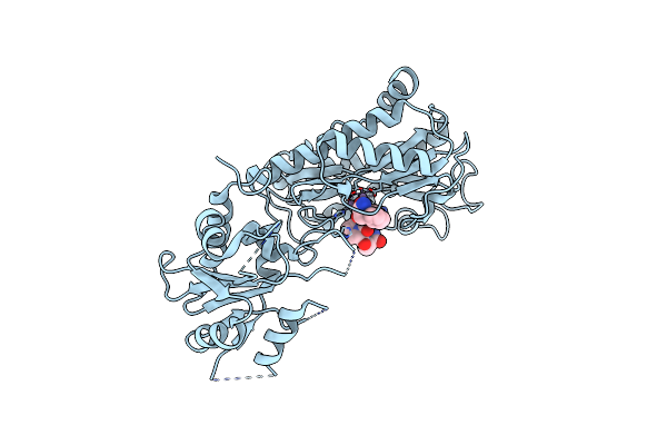 6A9U image